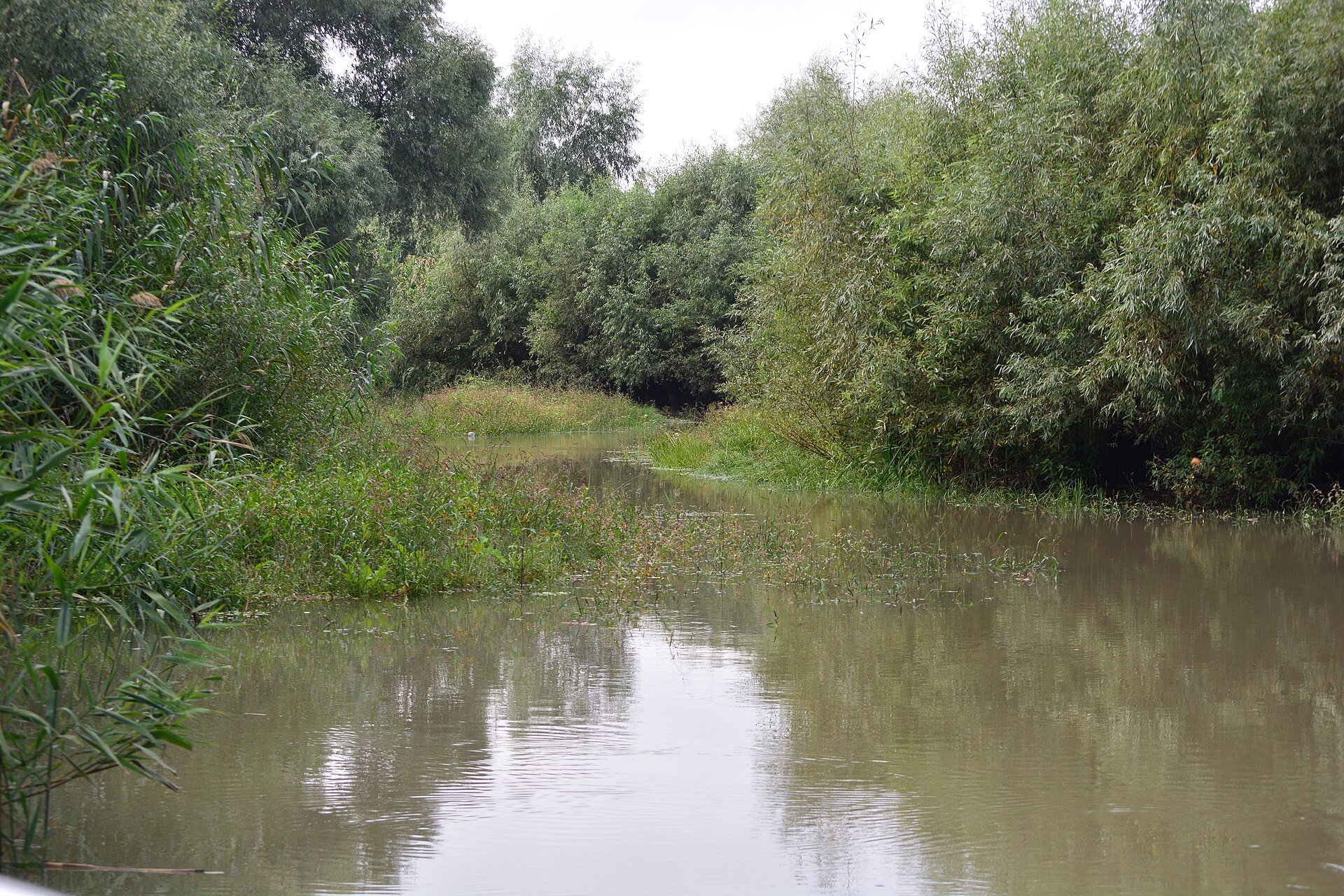Danube Delta boat channel