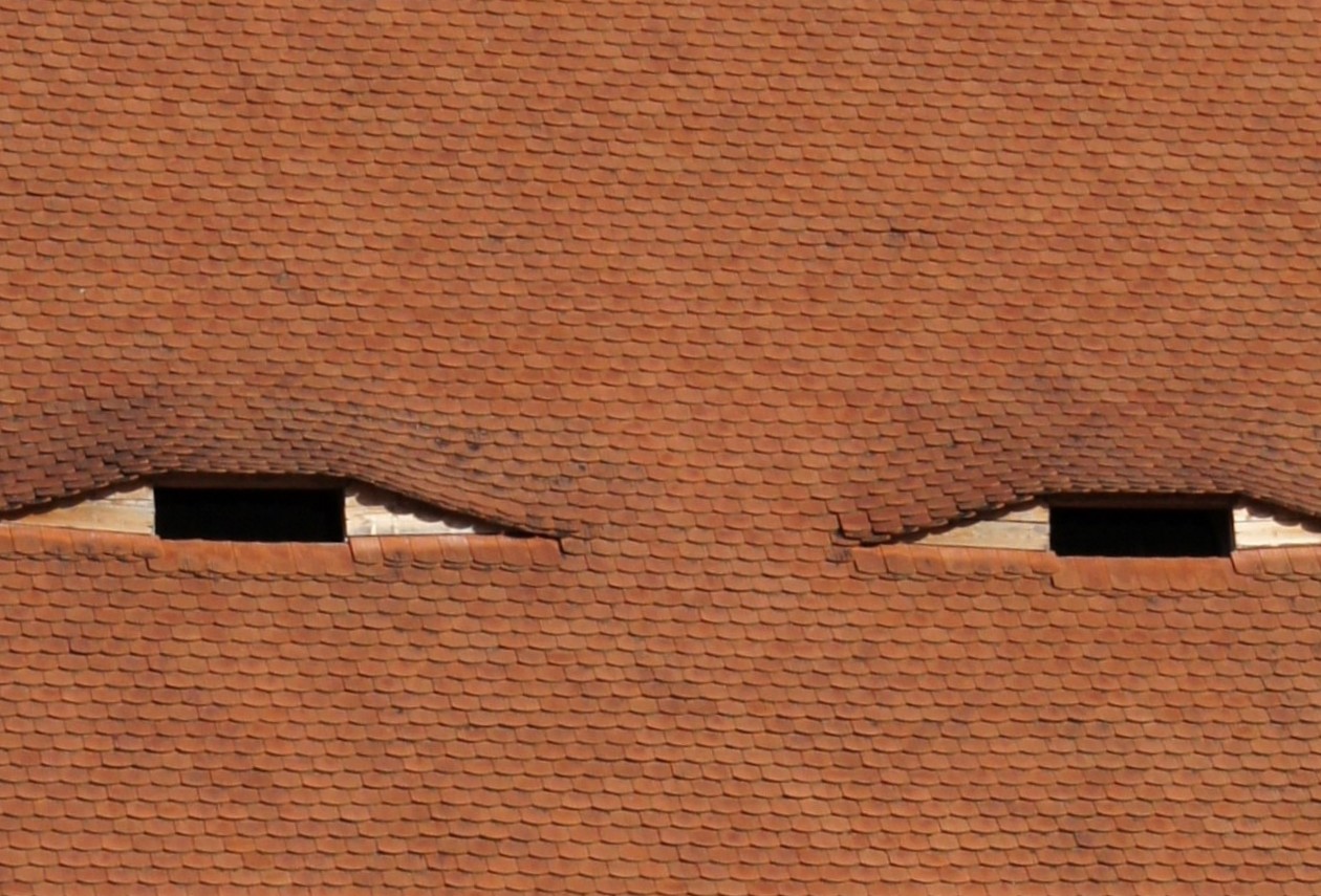 Sibiu houses with eyes roof
