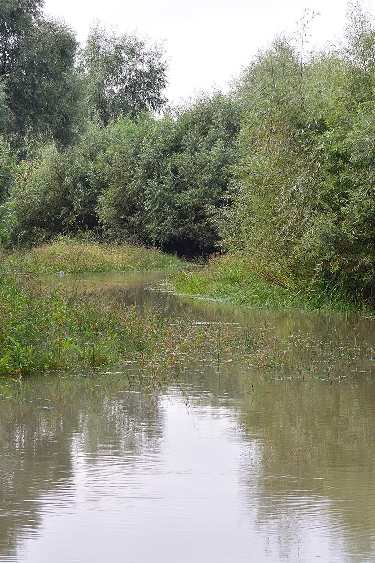Danube Delta boat channel