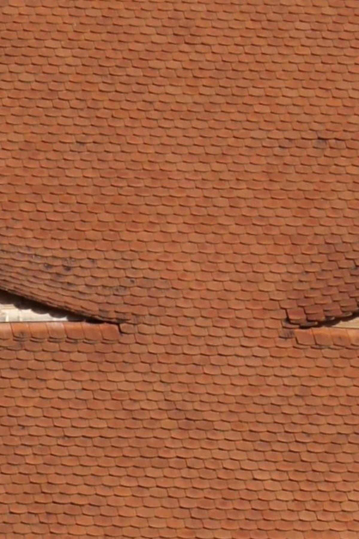 Sibiu houses with eyes roof