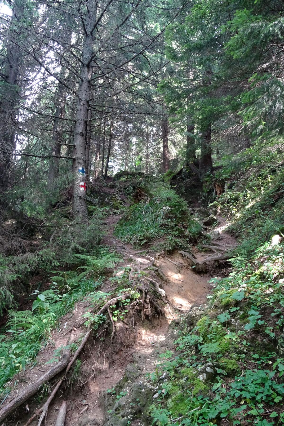 Romanian mountain trail sign