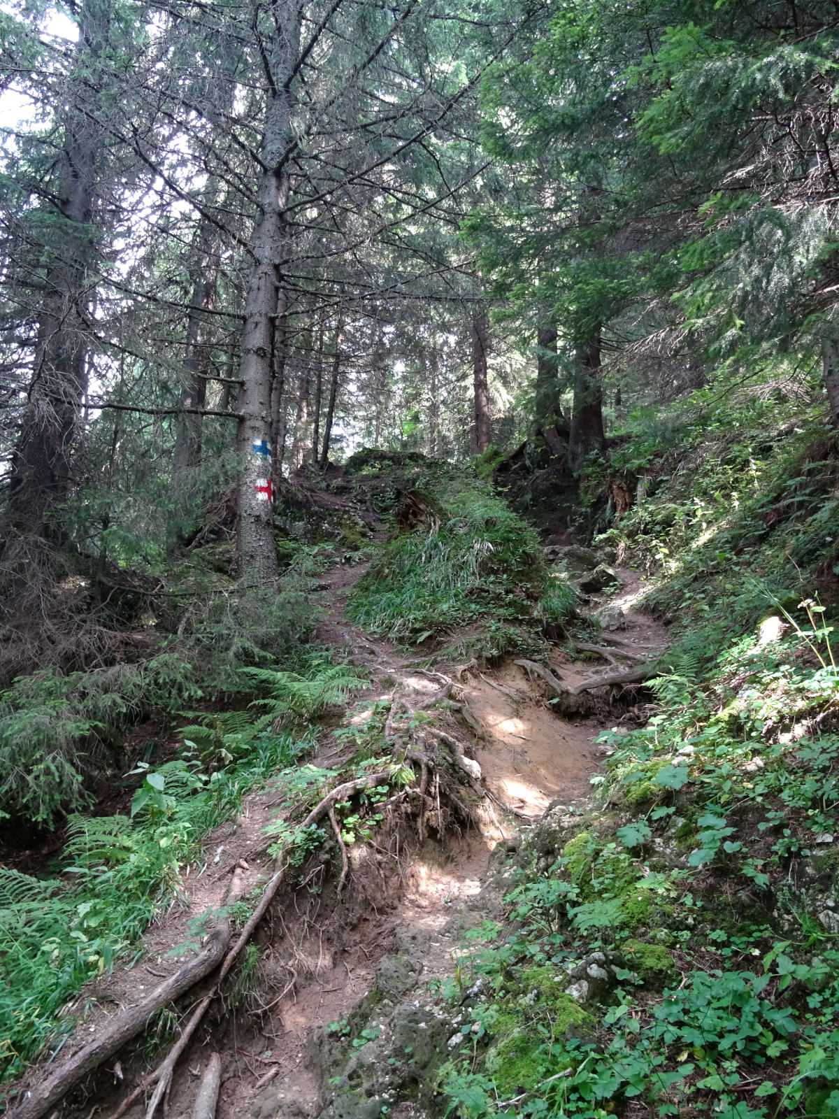 Romanian mountain trail sign